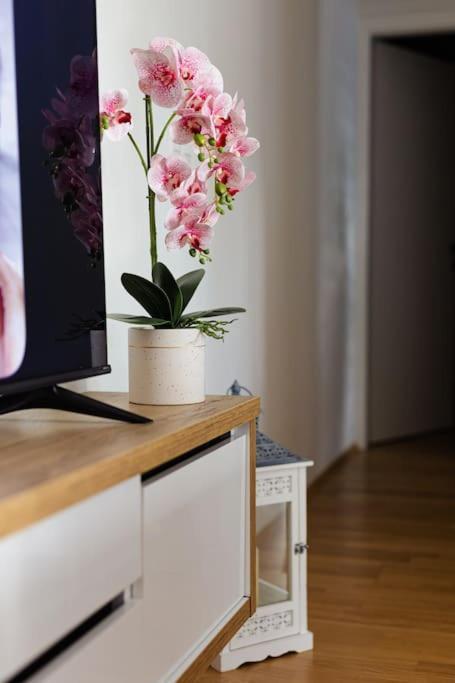 Apartman Lux Self Check-In Virovitica Exterior foto